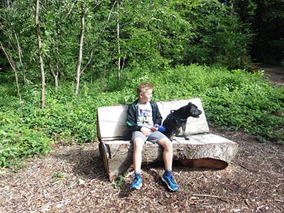Little boy with dog on holiday in Limburg