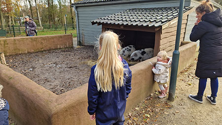 Petting zoo of Center Parcs De Eemhof