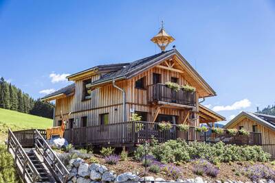 Detached wooden holiday home at Alps Resorts Almdorf Hohentauern