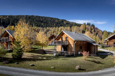 Wooden chalets in the Alps at the Alps Resorts Almdorf Stadl resort