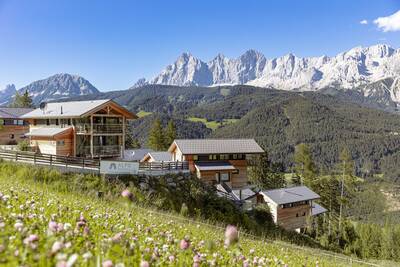 Chalets of Alps Resorts Alpine chalets Reiteralm on a mountain slope