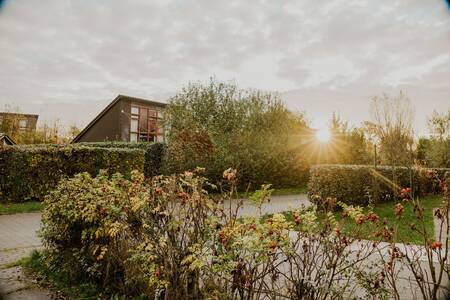 Holiday homes in the green at Dutchen Park Buiten Bergen