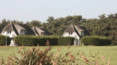 Detached holiday homes on Texel from Dutchen Park Waddenduyn