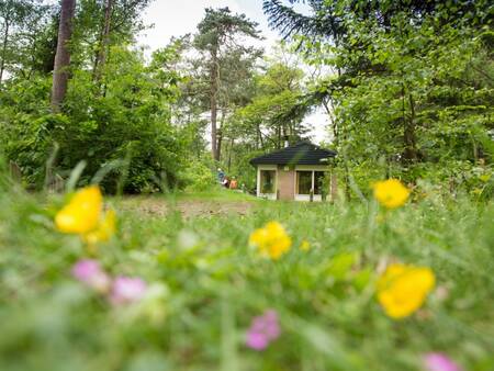A holiday home in the middle of the forest at Landal Heideheuvel holiday park