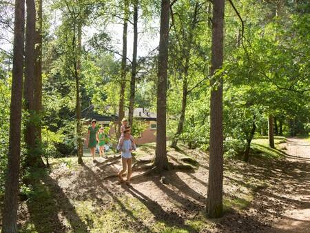 Holiday park Landal Miggelenberg is located in the middle of the woods on the Veluwe