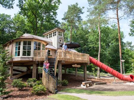 Treehouse: Treehouse for 4 people at the Landal-Miggelenberg holiday park