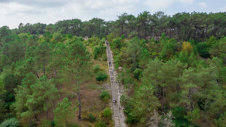 Nature reserve the Schoorlse Duinen near Landal Residence Berger Duinen