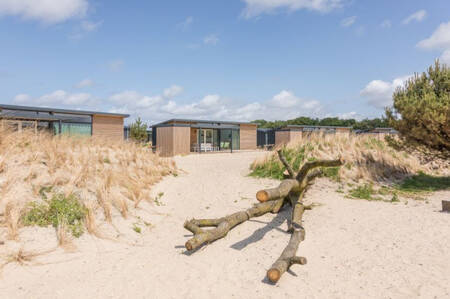 Holiday homes between the dunes at the Roompot Ameland holiday park