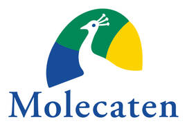 Molecaten holiday parks